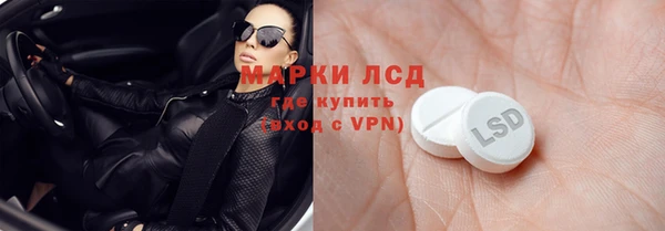 стаф Дмитров