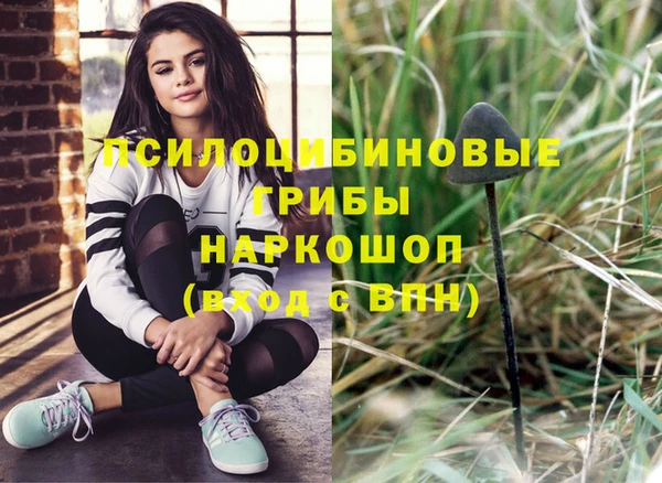 молекула духа Елабуга