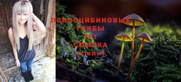 гидропоника Дмитровск