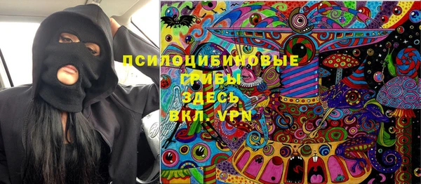 мдма Ельня