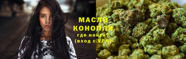стаф Дмитров
