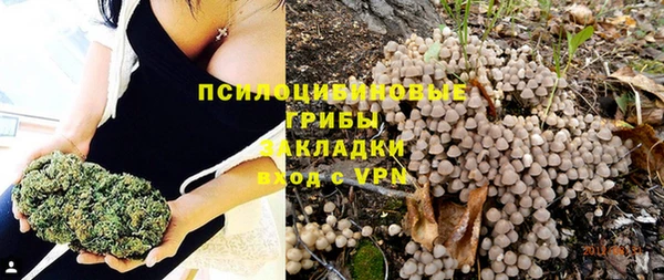 молекула духа Елабуга