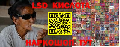 шишки Кандалакша