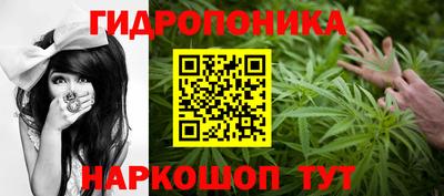 Альфа ПВП Гатчина