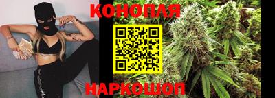 Альфа ПВП Гатчина