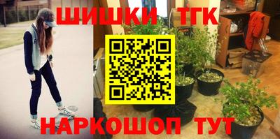 Альфа ПВП Гатчина