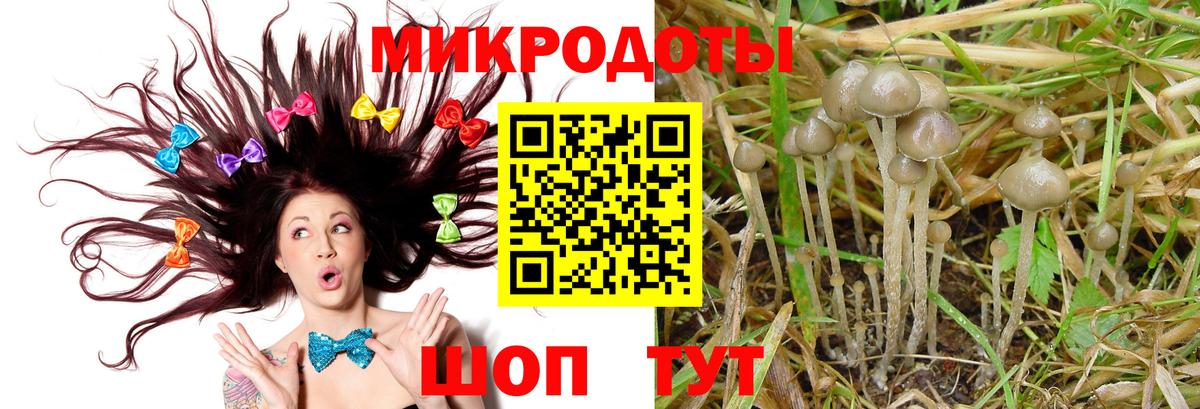 Лесной  Псилоцибиновые грибы мухоморы  Галлюциногенные грибы Psilocybine cubensis  Вход с VPN 